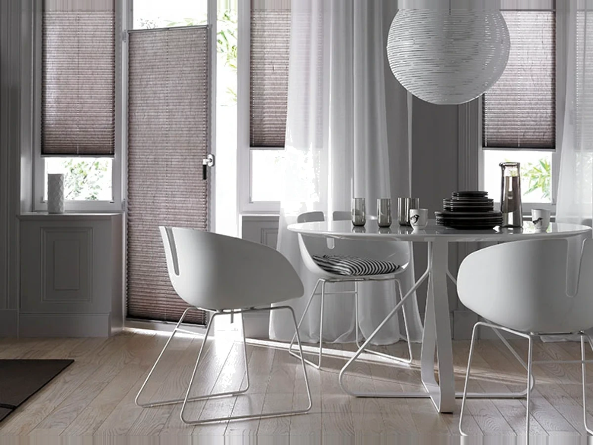 Pleated blinds